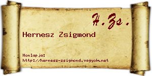 Hernesz Zsigmond névjegykártya